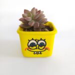 suculenta bob esponja