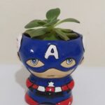 suculenta capitan america, desayunossorpresas.com, desayunos sorpresa a domicilio bogotá, desayunos sorpresa bogotá,