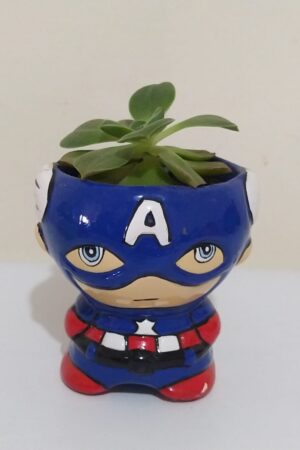 suculenta capitan america, desayunossorpresas.com, desayunos sorpresa a domicilio bogotá, desayunos sorpresa bogotá,