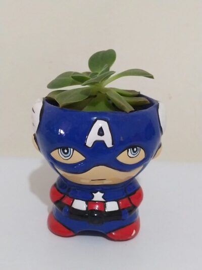 suculenta capitan america, desayunossorpresas.com, desayunos sorpresa a domicilio bogotá, desayunos sorpresa bogotá,