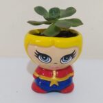 suculenta capitana marvel