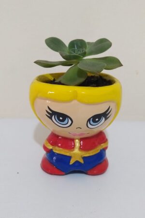 suculenta capitana marvel