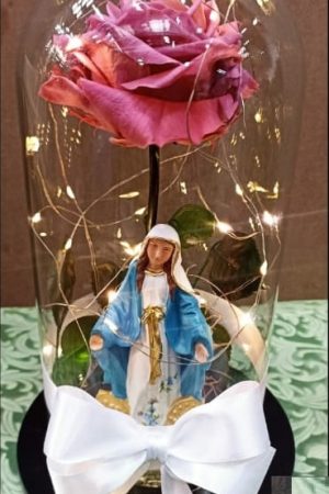 Rosa preservada con virgen