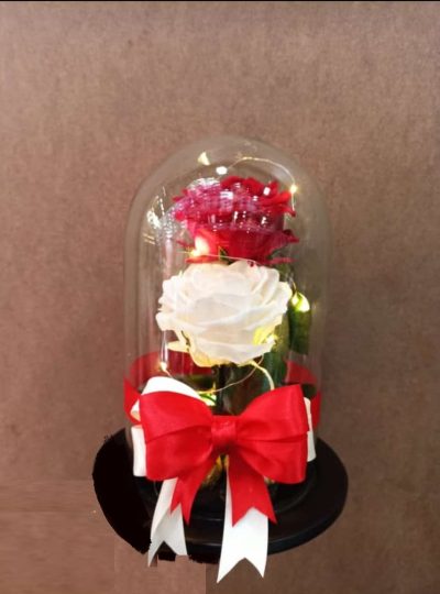 rosas permanentes x2