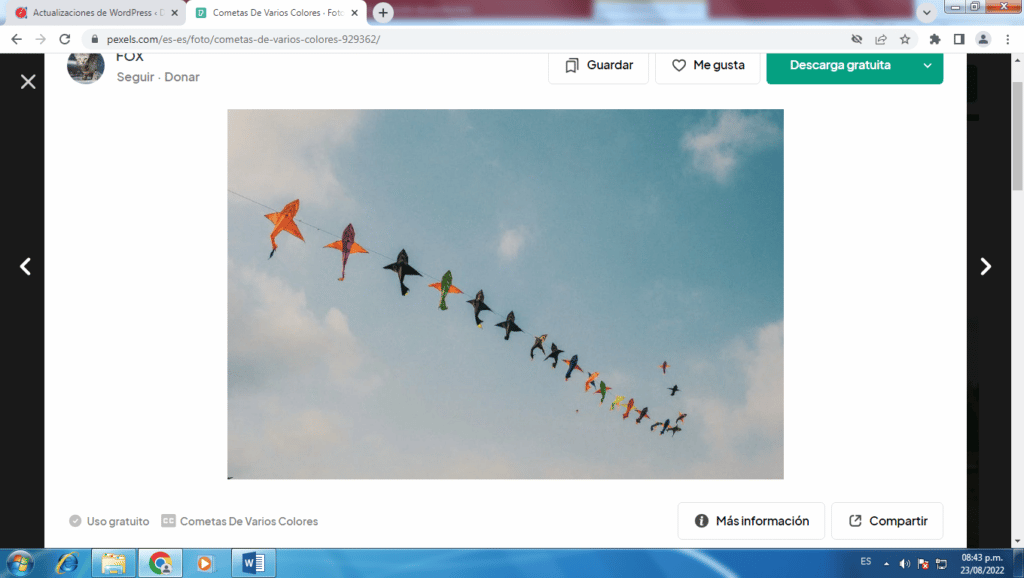 Eleva tus sueños como las cometas