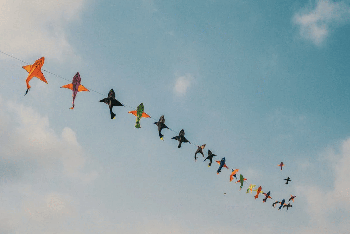 Eleva tus sueños como las cometas