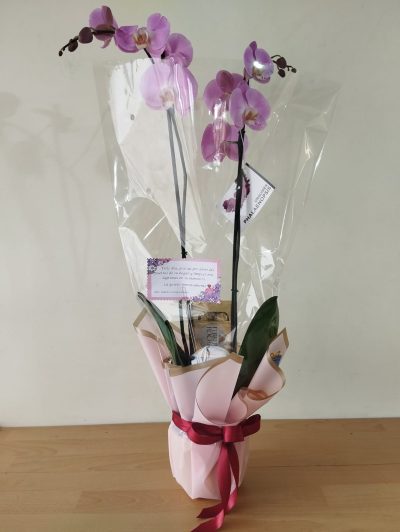 Orquídea y Caja de Chocolates Desayunosorpresas.com